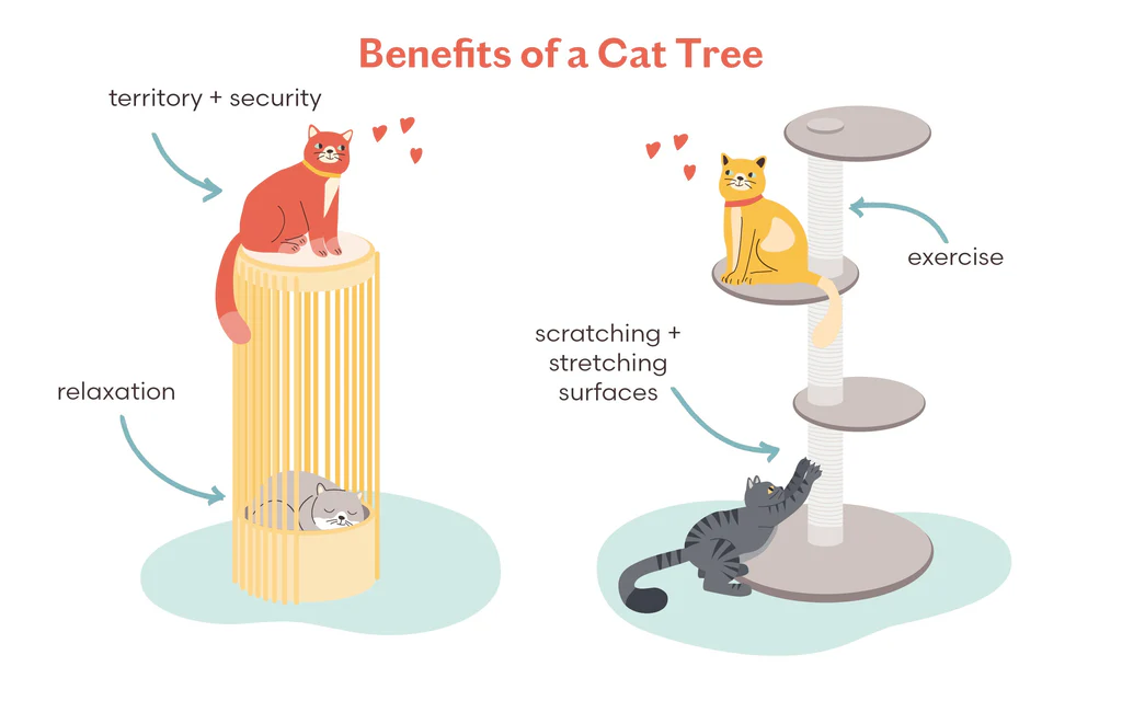 cat trees